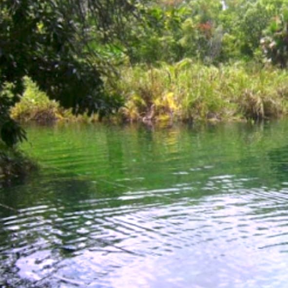 Cenote Cristal (Naharon)